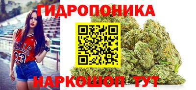 гидропоника Бугуруслан