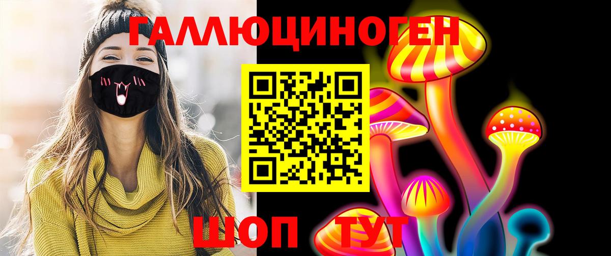 Псилоцибиновые грибы Psilocybine cubensis Барабинск